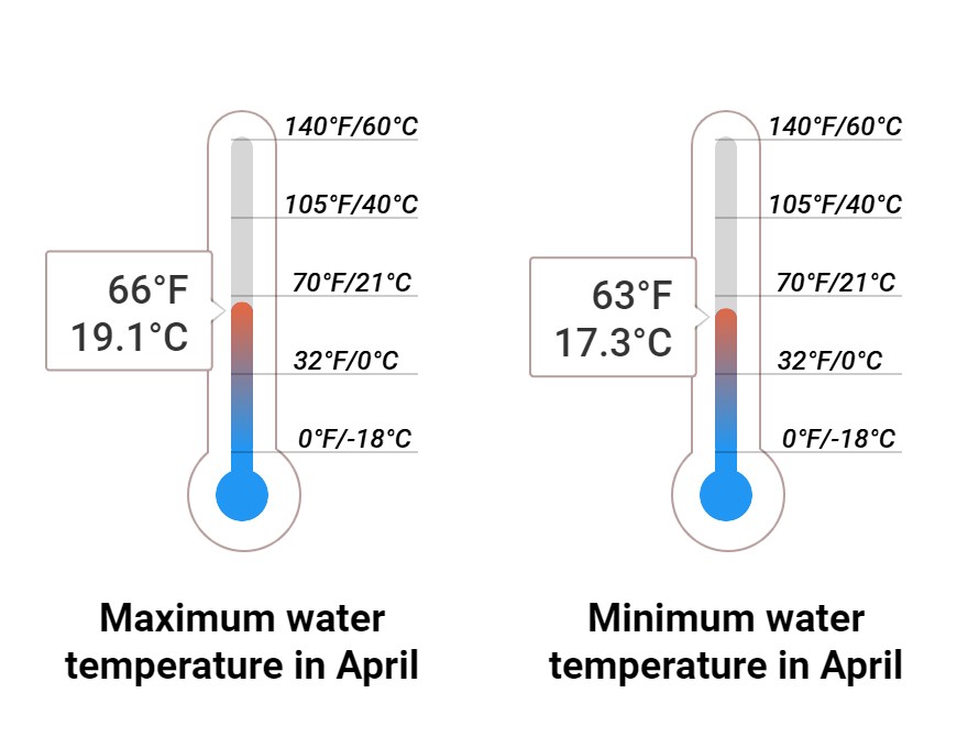 Average Sea temperature